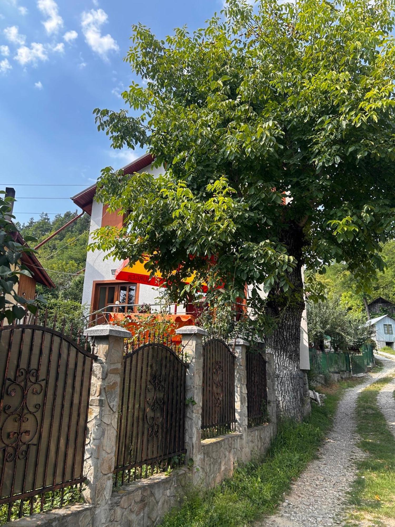 Вілла Casa Camelia Нехою Екстер'єр фото